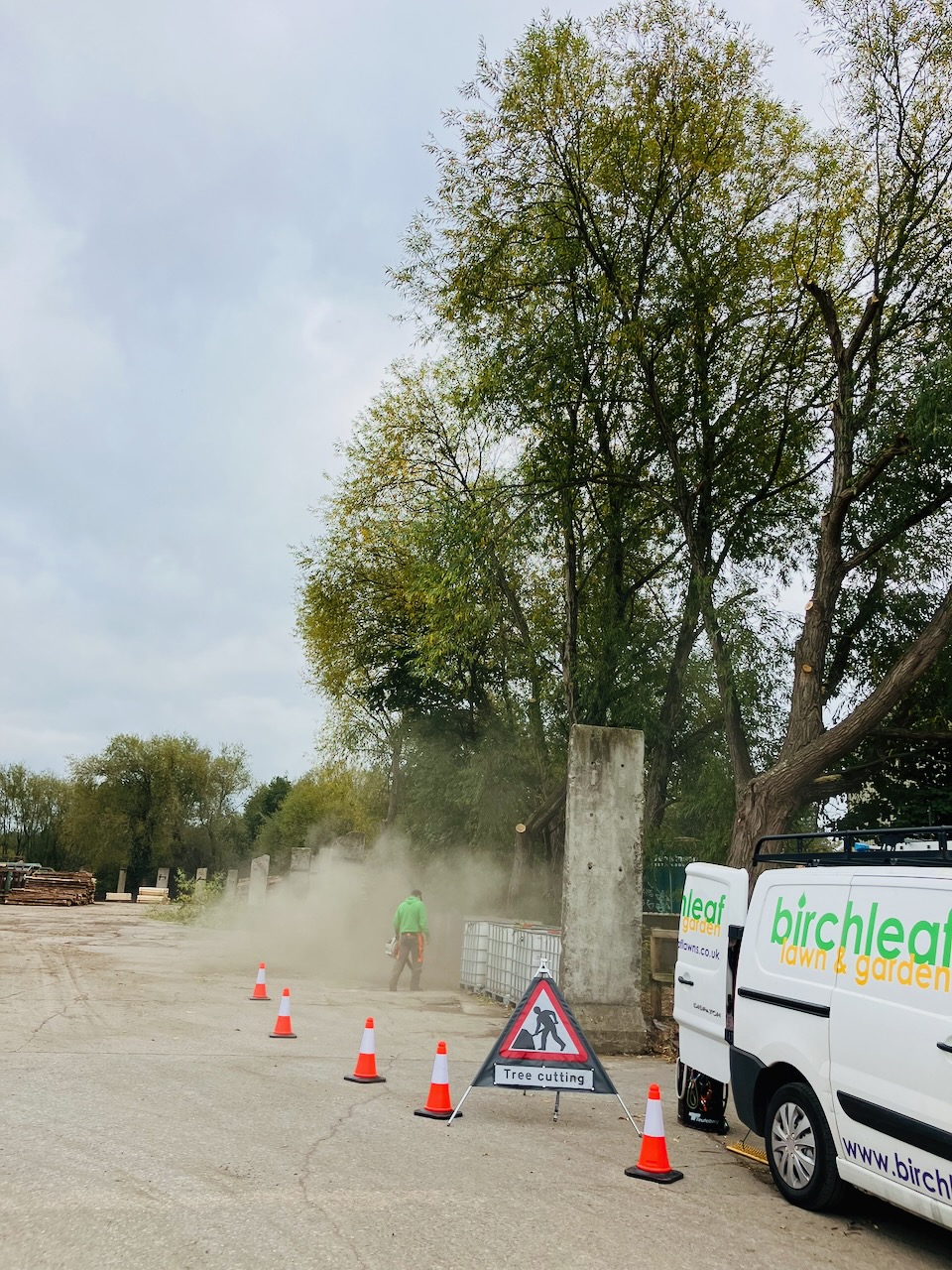 Mature trees in a tidy garden